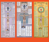 Three Dosha Banner Package