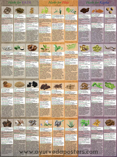 Herbology Dosha Poster