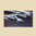 2019 Toyota Sienna 7in OEM in-dash Screen Protector