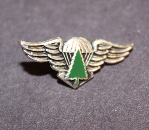 Smokejumpers rookie pin
